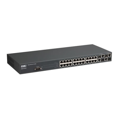 24-port 10/100 TigerSwitchâ„¢ Full Layer2 Managed Switch with IP Clustering and 4 Gigabit + 4 Combo ports